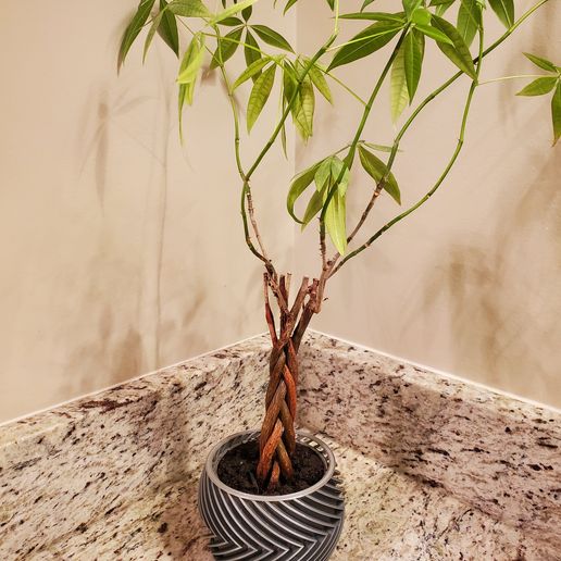 Large-Customer-1.jpeg Alternating Twist Desktop/Indoor Succulent Planter