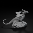 Dragon.001.png Medieval Hero Mega Pack  10 Fantasy Characters STL OBJ