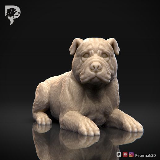 Bulldog-Pose-09-Dog-3D-Print-10s.jpeg Bulldog Dog 3D Print Model Pose 09