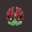 10.png CLUSTER OF NEURAXIS HUMAN BRAIN SEGMENTED