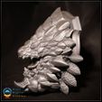 Bazelgeuse_Print_Per.jpg 3D 打印怪物猎人头像 - Bazelgeuse 壁挂奖杯