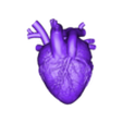 HEART.stl Fichier STL cœur anatomique・Plan imprimable en 3D à télécharger