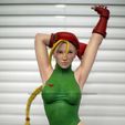 IMG_1564.jpg Cammy Street Fighter Fan Art Statue 3d Printable