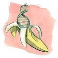 BananaScience