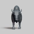 R01.jpg american bison pose 03