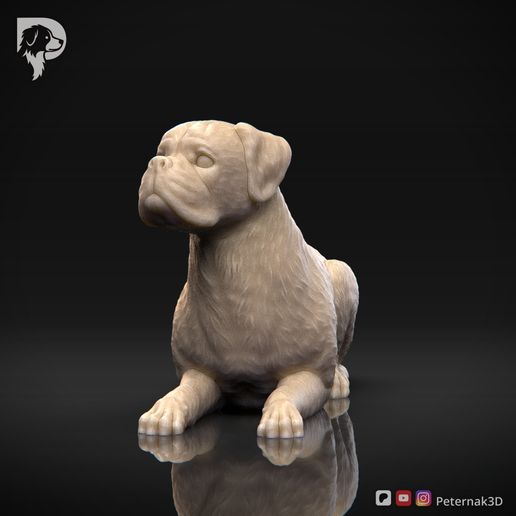 Boxer-Pose-09-Dog-3D-Print-9s.jpeg Chien Boxer Modèle imprimé en 3D Pose 09