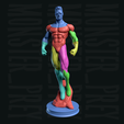 Render3.png Invincible FREE 3D Print Model
