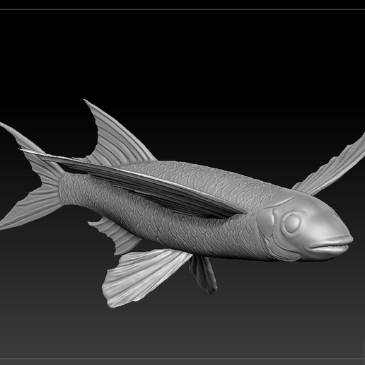 🐠 Flying Fish・ STL File for 3D printing・Cults