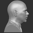 9.jpg Pitbull bust 3D printing ready stl obj formats