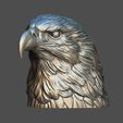 12.jpg Eagle