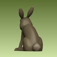 4.jpg Little Rabbit