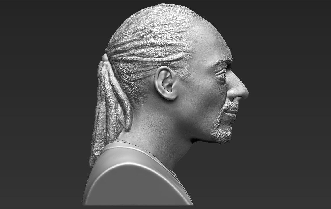 snoop-dogg-bust-ready-for-full-color-3d-printing-3d-model-obj-mtl-fbx-stl-wrl-wrz (28).jpg STL file Snoop Dogg bust ready for full color 3D printing・Template to download and 3D print, PrintedReality