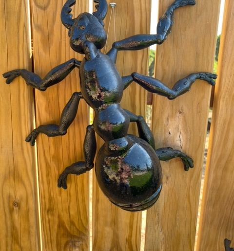 image2.jpeg RIESENANTIE