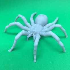 d2bec7588608ba344b647e5e6bd43dae_display_large.JPG Free STL file Spider・Model to download and 3D print