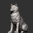 shiba-inu12.jpg shiba inu 3D print model