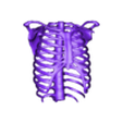rib_cageobj.obj 3D Model of Ribs Cage