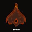 clitoris_wireframe.jpg Anatomie du clitoris - Clitoris excité