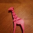 20190401_220813.jpg Giraffa con testa flessibile