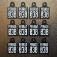 b6e995f7-befd-486c-abe4-4860c403d850.jpg Perron038 Keychain (Sleutelhanger)