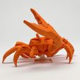 FC03.jpg Fiddler Crab