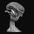 2.jpg Alien Romulus Busto con cabeza de Xenomorfo
