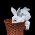 Cottontail-Rabbit-Basket-2.jpg Cottontail Rabbit Basket