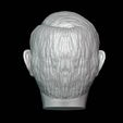 0007.png Vladimir Putin Head detailed 3D printable