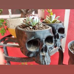 IMG_20210413_204204_344.jpg skull plantpot