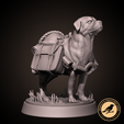 Preview01.png Pack mastiff