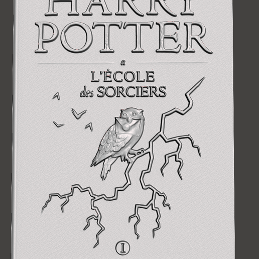 harry potter livre relief