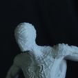 Milots-Tutus-3D-Printing-Cults3.jpg spiderman