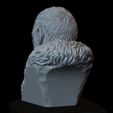 03.RGB_color.jpg Davos Seaworth from Game of Thrones, portrait, bust, 200mm