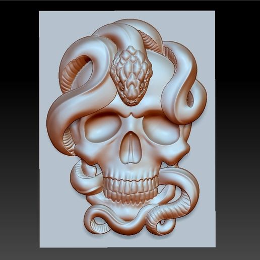 skull model of bas-relief 3D model