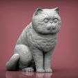Exotic-Shorthair-Snoopy2.jpg Exotic Shorthair Snoopy cat 3D print model