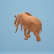éléphant-3.jpg An elephant trumpets 🐘🐘🐘