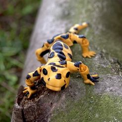 IMG_4719.jpg Free STL file flexi salamander / fantasy / print in place / animal・Template to download and 3D print