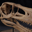 Velociraptor_Skull_003.png Velociraptor Dinosaur Skull Replica