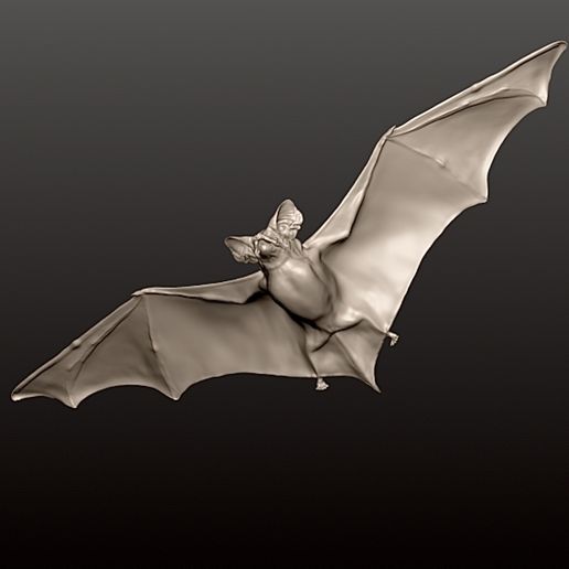BAT-3D-PRINT-7.jpg BAT FLYING