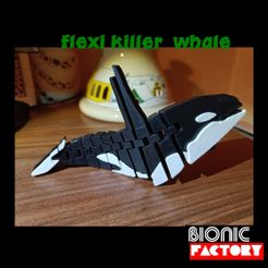 logo.jpg Archivo STL flexi orca・Idea de impresión 3D para descargar