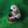IMG_20240731_165853980.jpg African Grey Pencil Holder
