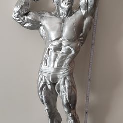 Arnold Schwarzenegger Modèle 3D prêt à être imprimé Modèle d'impression 3D Modèle d'impression 3D