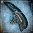 z5363073256502_77313e94bb66224d5397da213cf1e3ab.jpg Alien Xenomorph Head Decor Wearable Cosplay
