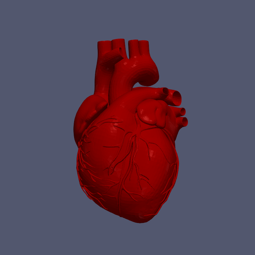 STL file 3D model of Heart・3D printer design to download・Cults