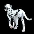 0_00033.jpg DOG - DOWNLOAD Dalmatian 3d model - Animated for blender-fbx- Unity - Maya - Unreal- C4d - 3ds Max - CANINE PET GUARDIAN WOLF HOUSE HOME GARDEN POLICE  3D printing DOG DOG