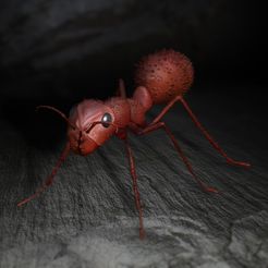 Ameise_Paint_Dark.jpg STL file Ant ANT I・Model to download and 3D print