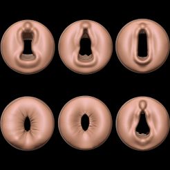 todosesteriores.jpg STL file REAL MASTURBATOR PUSSY AND ASS・3D printable model to download