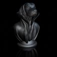 ShopA.jpg Beagle-with-collar cape on pedestal