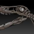 velociraptor-skeleton-full-3d-raptor-dinosaur-bones-3d-model-329edf473c.jpg Velociraptor Skeleton - Full 3D Raptor dinosaur bones