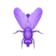 Fly.stl Fliege