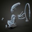 untitled.270.jpg alien yoga 3d print model V2